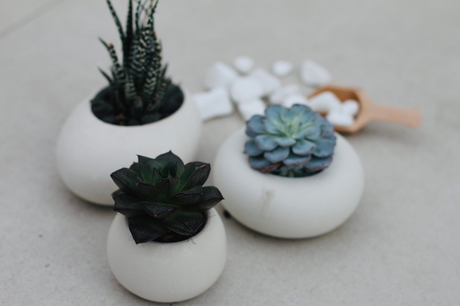 סדנאות בטון – יצירה בחומר חי